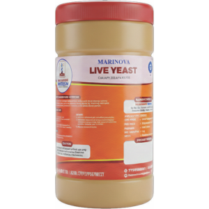 Saccharomyces cerevisiae (Yeast)