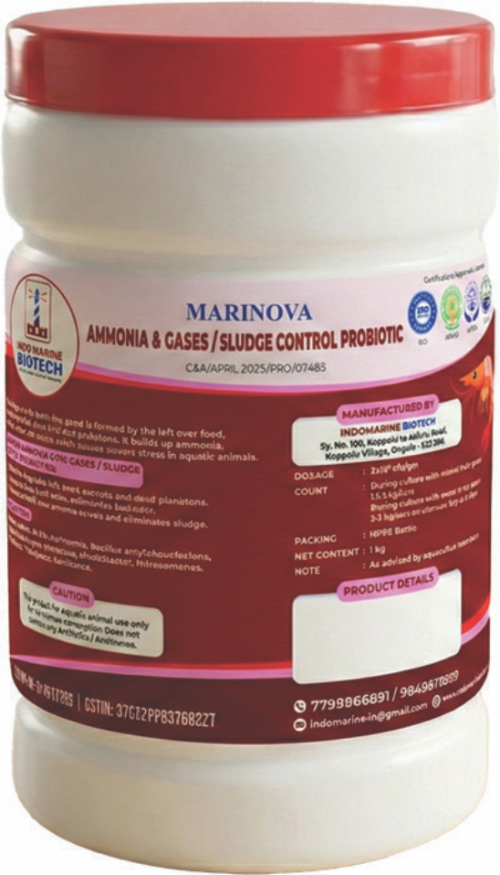 Sludge/Ammonia Control Probiotics