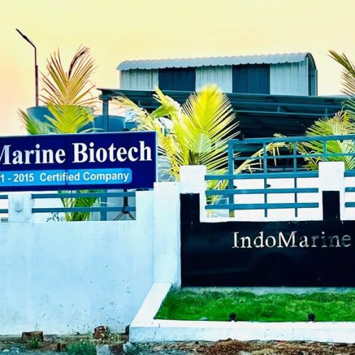 Indo Marine Biotech Office